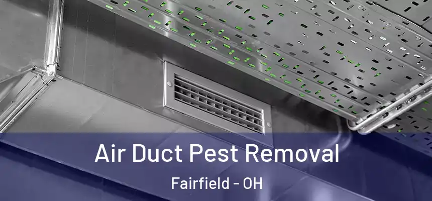 Air Duct Pest Removal Fairfield - OH