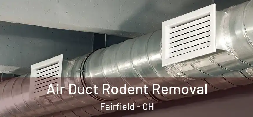 Air Duct Rodent Removal Fairfield - OH