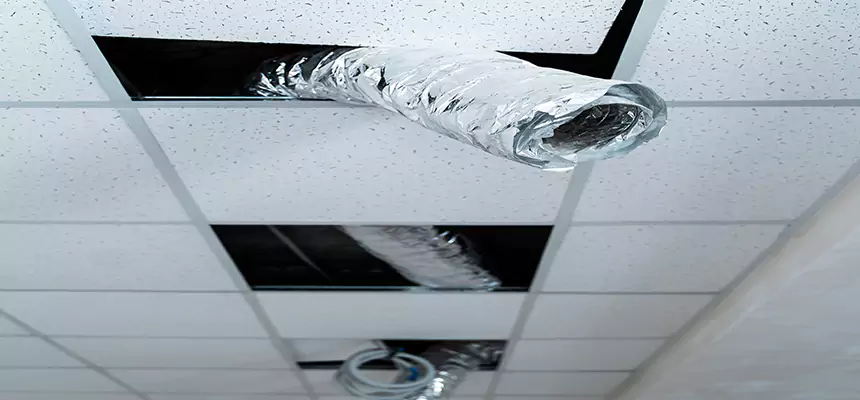 Our Air Duct Pet Hair Removal Services in Fairfield, OH