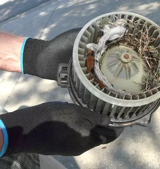 About Air Duct Rat Removal in Fairfield, OH