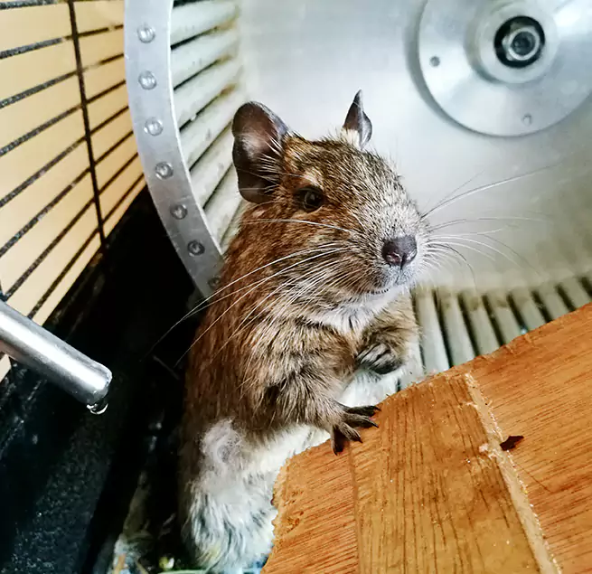 Why Homeowners & Businesses Trust Us Fairfield, OH?